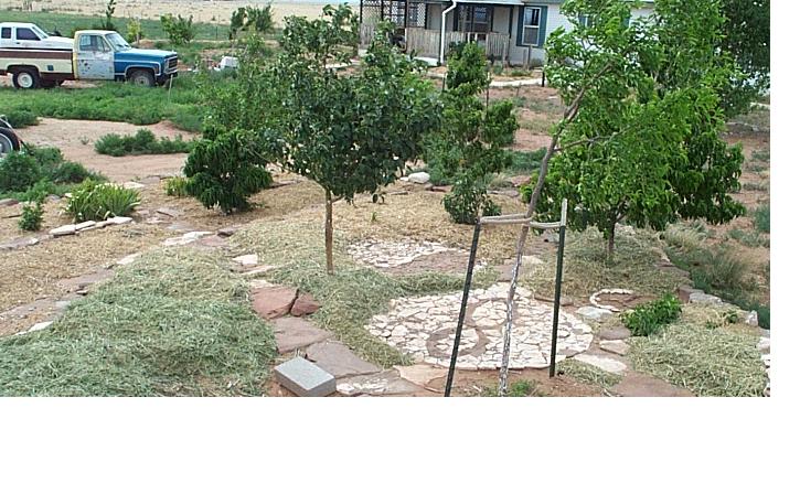 do you have pictures to share? terrace looking NW.JPG
